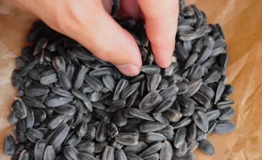 Семечки вместо психолога: неожиданный лайфхак при стрессе