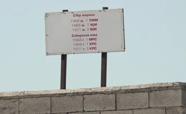 Сібір жарасы: Алматы облысындағы қауіпті аймақта жер телімі сатылған