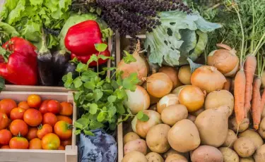 В Алматы пройдет ярмарка «Береке Fest»: 350 тонн свежих продуктов по доступным ценам