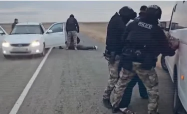 Шығын 11 млн теңге: мал ұрлаған қылмыстық топ ұсталды