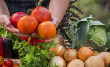 В Алматы в честь Дня Республики сельскохозяйственная ярмарка будет проходить 3 дня
