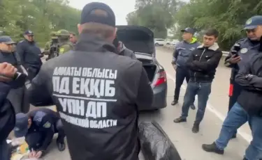 Алматы облысында 58 келіден астам марихуана тәркіленді
