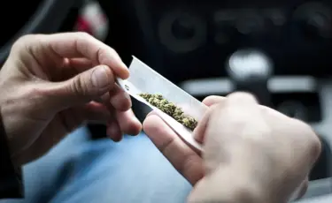 Жетісу облысында полицейлер 10 келіден астам марихуананы тәркіледі