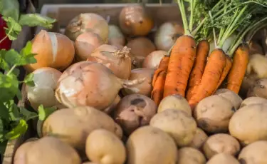 В Алматы в рамках акции «Береке Fest» представят 150 тонн мясной продукции из области Абай