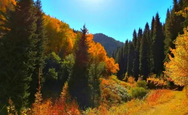 Алматыда 20-26 қазан аралығында ауа райы қандай болады