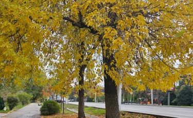 Қар аралас жаңбыр жаууы мүмкін: жексенбінің ауа райы болжамы
