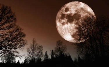 Самое большое суперлуние года: каким оно будет в ноябре 2025