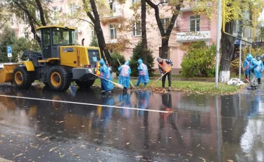 Дархан Сатыбалды поручил расширить посадку зеленых насаждений в рамках программы «Таза Қазақстан»
