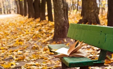 Опасная перемена: в Актау на первоклассницу рухнула школьная скамейка