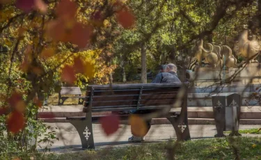 Какая погода ожидается в Казахстане на День Республики