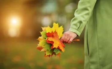 Октябрь: как осень приносит новые силы и открывает путь к успеху