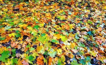 Алматыда  6-12 қазан аралығында ауа райы қандай болады