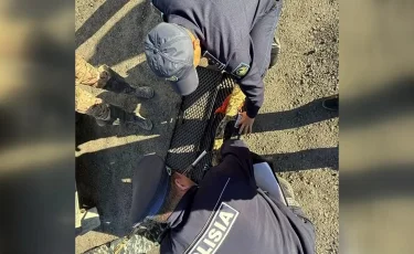 Қызылорда облысында құстарды қынадай қырған аңшы ұсталды