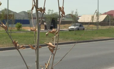 Шығыс Қазақстанда бірнеше ауыл таратылды