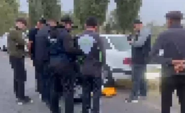 Жамбыл облысында ірі көлемде марихуана тасымалдаған күдіктілер ұсталды