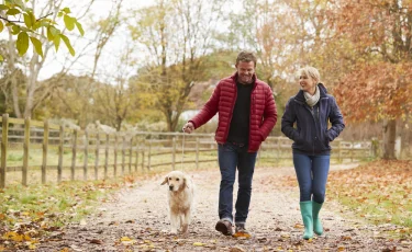 Что даёт регулярная прогулка всего на 20 минут