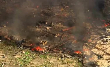 АҚШ-та зауыттағы жарылыстан 16 адам қаза тапты