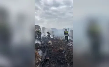 Пожар в Павлодарской области: огонь унес жизни шести человек