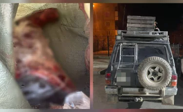 Қарағанды облысында полицейлер заңсыз киік аулау дерегін анықтады