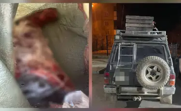 Қарағанды облысында полицейлер заңсыз киік аулау дерегін анықтады