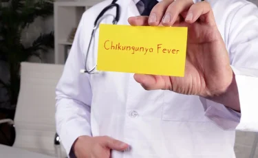 ВОЗ встревожена: лихорадка чикунгунья не сдает позиций