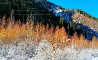 Алматыда 10-16 қараша аралығында ауа райы қандай болады
