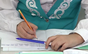 "Әліппе" мен "Қазақ тілінің" бағдарламалары мектептерде мақұлдаудан өтіп жатыр