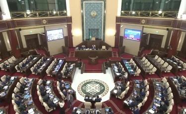 Мәжіліс ЛГБТ мен педофилияны насихаттауға тыйым салатын заң жобасын мақұлдады