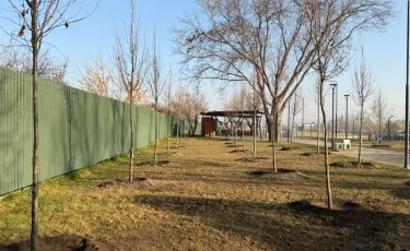 «Таза Қазақстан»: в Алматы продолжается озеленение развязки Сейфуллина–Жансугурова