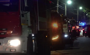 Биыл Алматыда 28 орман өрті тіркелді