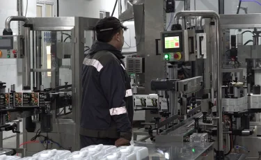 Қала келбеті: Алматыны көгалдандыруға арналған экологиялық өнімге сұраныс артқан