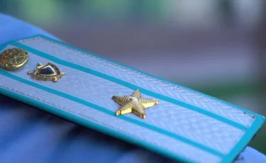 Қостанай облысында орман шаруашылығы кәсіпорындарынан 32 млн теңге өндірілді