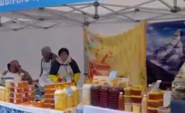 Фермеры из ВКО привезли в Алматы свежее мясо и натуральный мед по доступным ценам