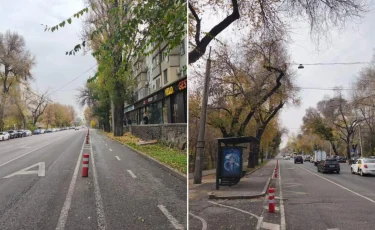 Қар шығару жұмыстарының сапасын арттыру үшін Алматыда жол бойындағы боллардтар алынып жатыр