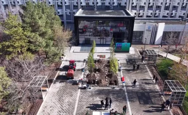 Геологтар аллеясына шынар тұқымды ағаштар отырғызылды