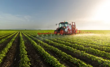 В этом году льготное кредитование АПК впервые превысило 1 трлн тенге