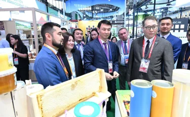 Алматы әкімі Шанхайдағы халықаралық импорттық көрмеге қатысты