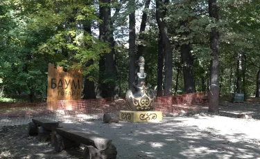 Благоустройство и озеленение: Роща Баума станет комфортнее и безопаснее