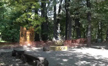 Благоустройство и озеленение: Роща Баума станет комфортнее и безопаснее