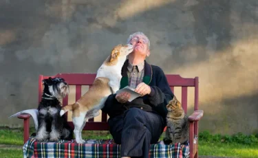 Собаки могут жить дольше: ученые нашли способ замедлить старение