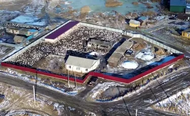 Құс тұмауы жоқ: СҚО тұрғындары ресми ақпаратқа сенбейді