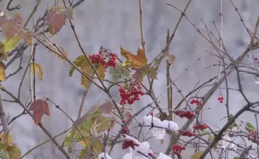 Бүгін қай өңірде қар жаууы мүмкін - ауа райы болжамы