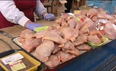 Заңсыз сауда: «Сырым» ветеринариялық бақылау бекетінде 20 тонна құс еті анықталды