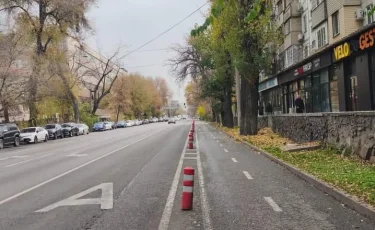В Алматы готовят улично-дорожную сеть к зиме: начинается демонтаж сигнальных боллардов