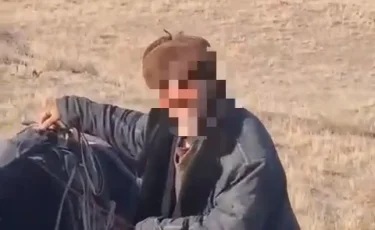 Потерялся в тумане: пастух со стадом овец голодал в степи три дня