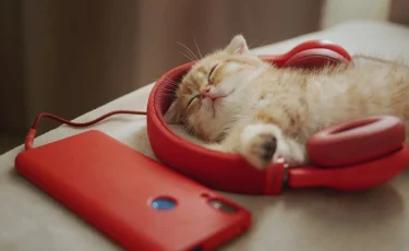 Когда мучает бессонница: ученые нашли эффективный и простой способ избавиться от нее