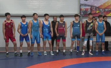 Алматыда күрес залы ашылды