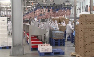 В Казахстан пытались незаконно ввезти 20 тонн мяса птицы из России
