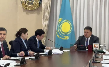 ЭКСЖ ұлттық жобасы аясында сатып алудың электронды платформасы іске қосылды