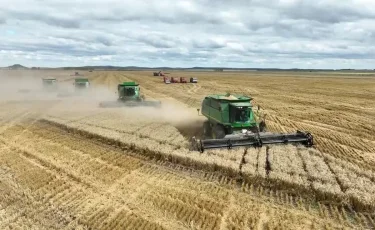 В Минсельхозе сокращают посевы влагоемких культур